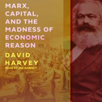Marx__Capital__and_the_Madness_of_Economic_Reason